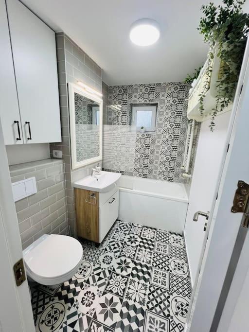 Victoriei Apartment *